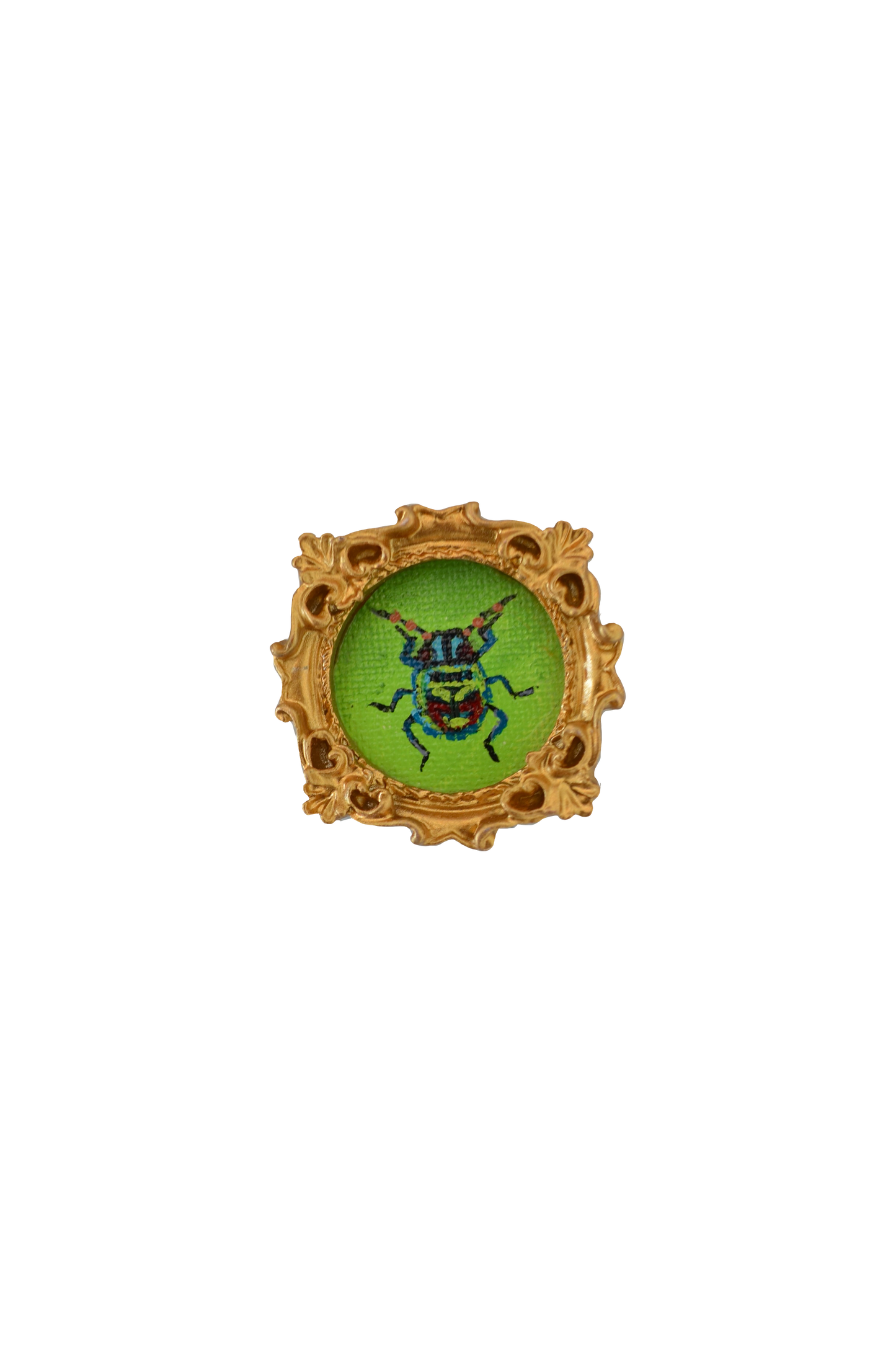 Colorful bug magnet